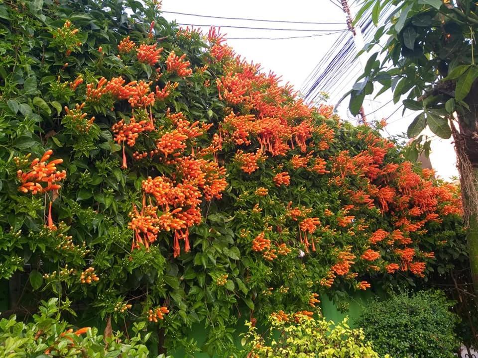 Baan Bua Homestay تْشينيغْرايْ المظهر الخارجي الصورة